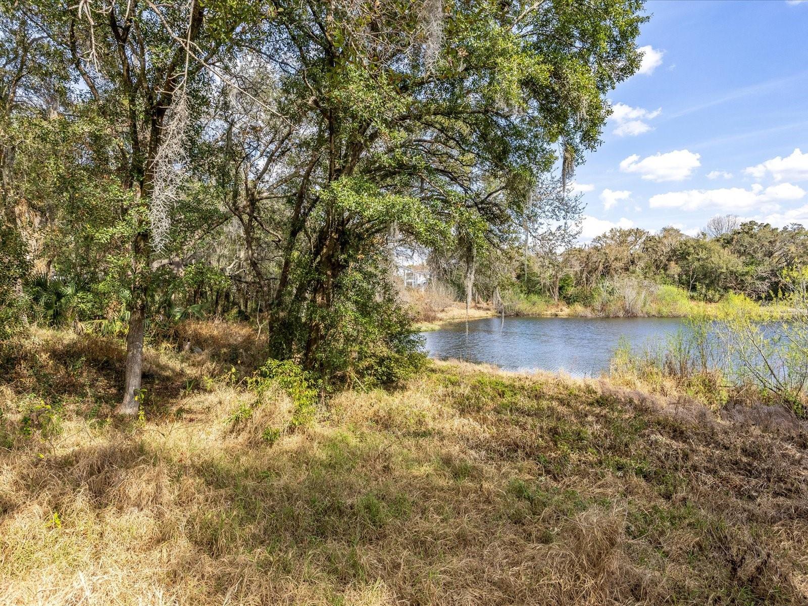 Image 5 of 12 For 507 Enka Avenue