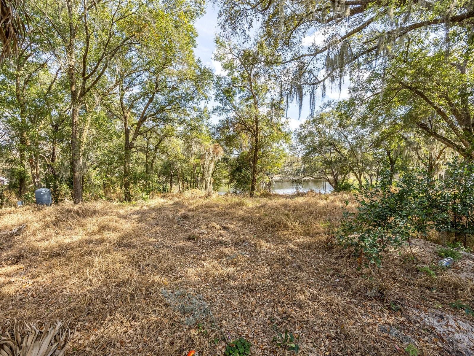 Image 6 of 12 For 507 Enka Avenue