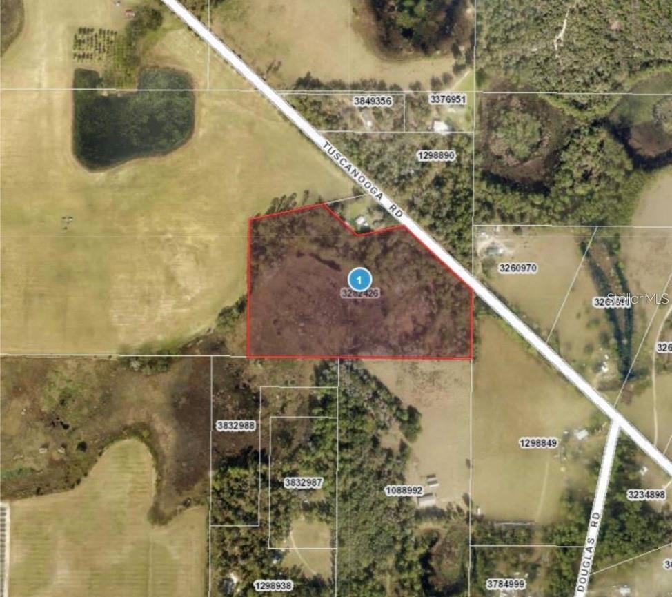 Details for Tuscanooga Road, MASCOTTE, FL 34753