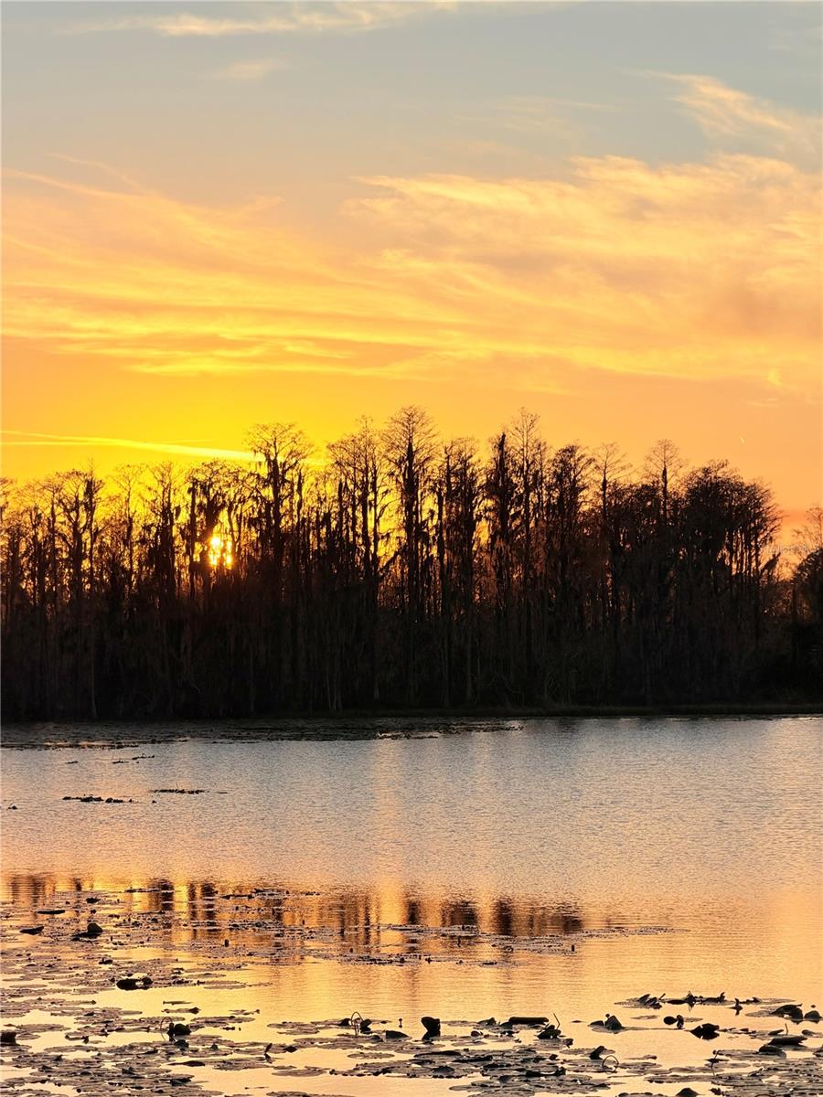 Image 23 of 27 For 643 Highgate Park Boulevard