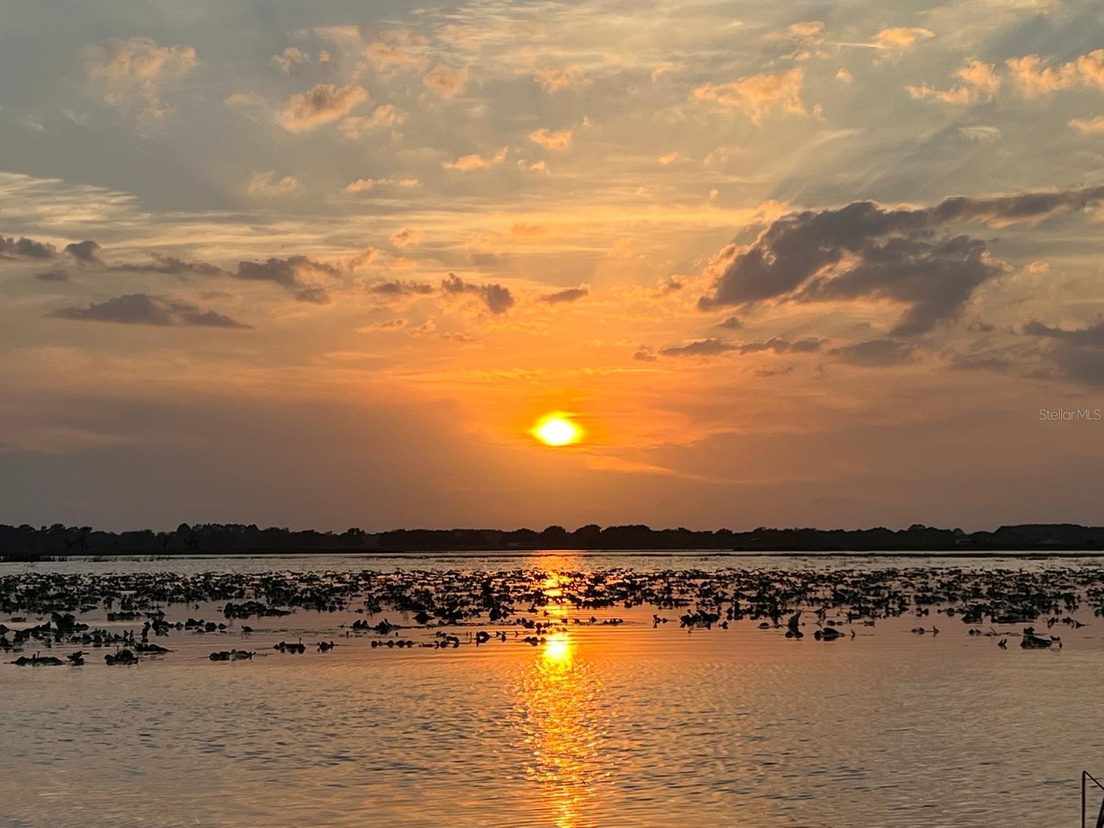 Image 13 of 40 For 9429 Crescent Ray Drive