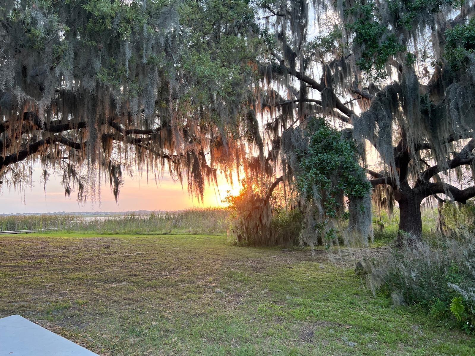 Image 15 of 40 For 9429 Crescent Ray Drive