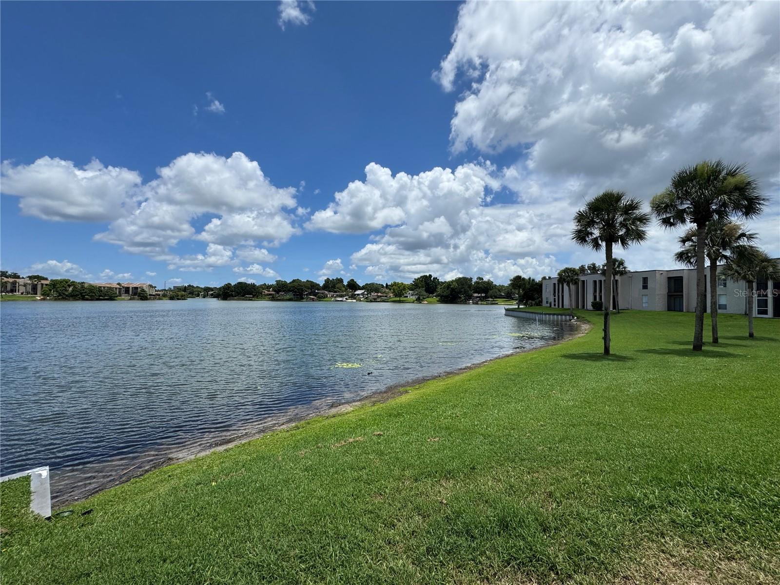 Image 20 of 21 For 530 Orange Drive 11