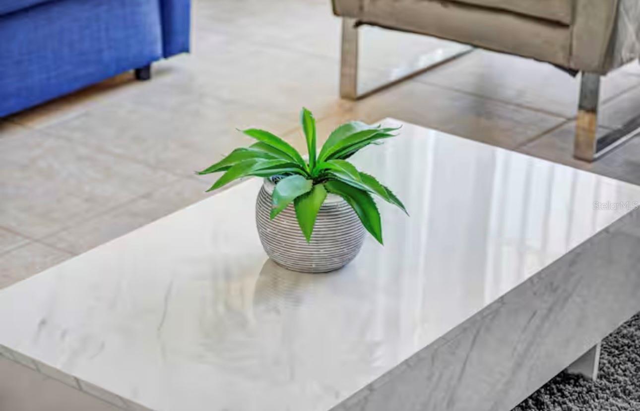 Image 15 of 51 For 8117 Princess Palm