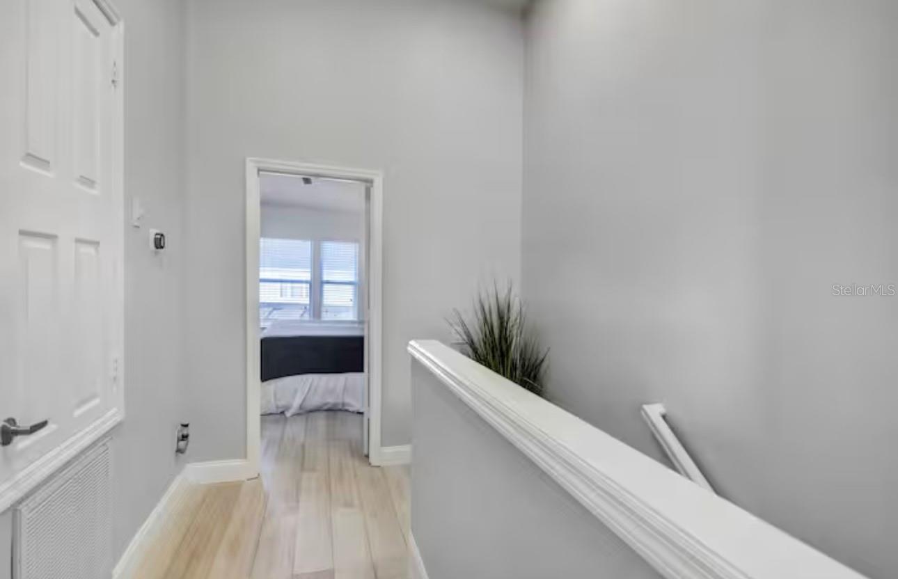 Image 20 of 51 For 8117 Princess Palm