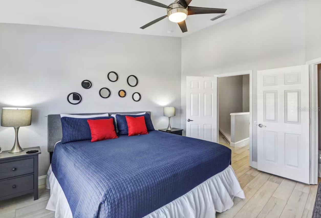 Image 23 of 51 For 8117 Princess Palm