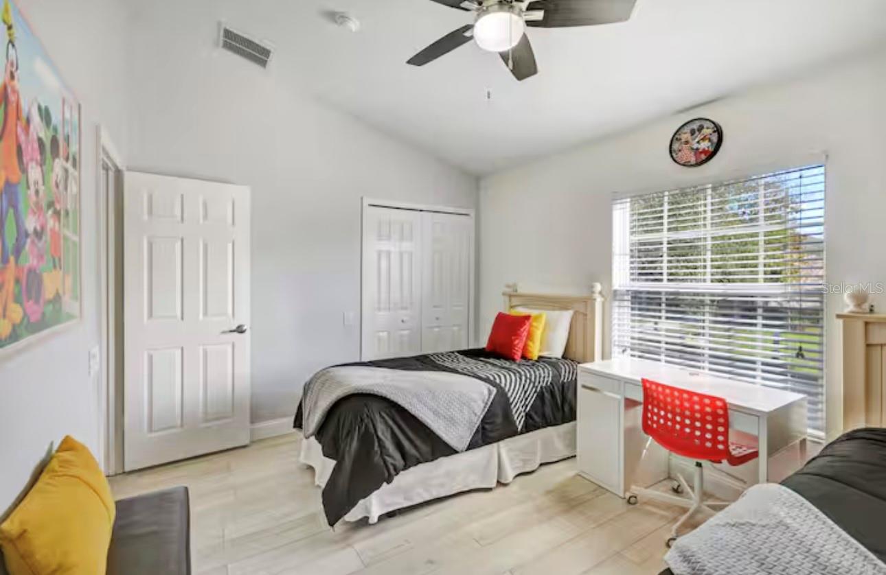 Image 25 of 51 For 8117 Princess Palm