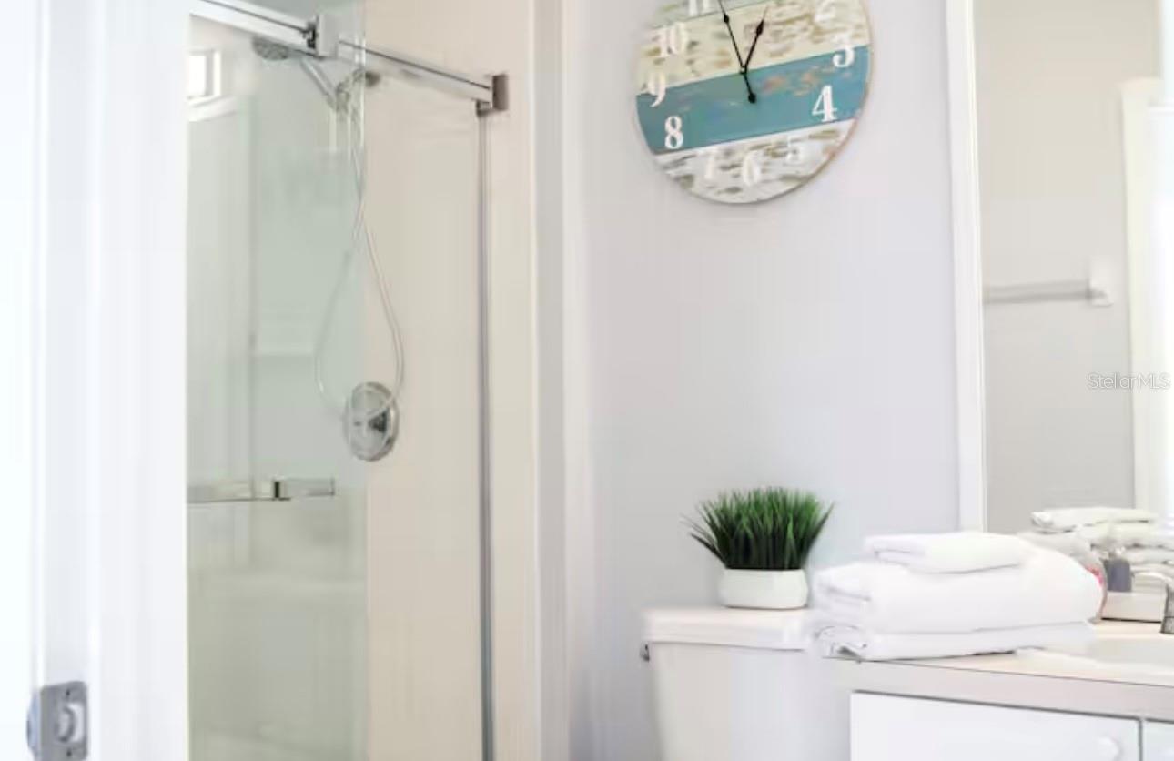 Image 28 of 51 For 8117 Princess Palm