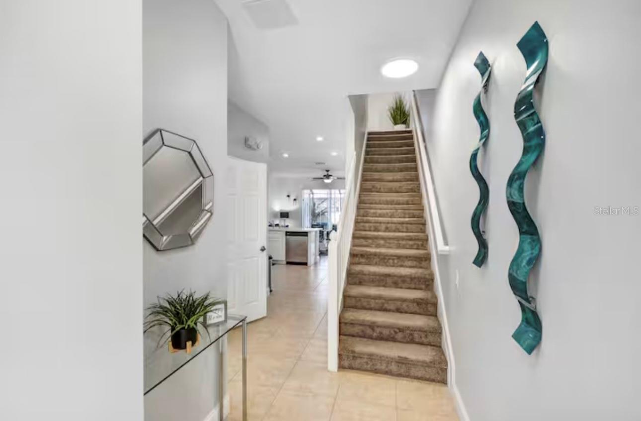 Image 3 of 51 For 8117 Princess Palm