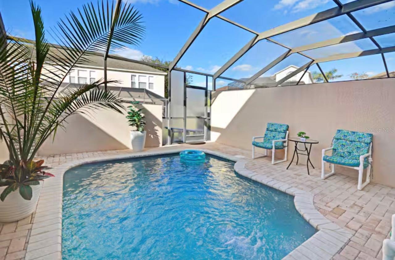 Image 34 of 51 For 8117 Princess Palm