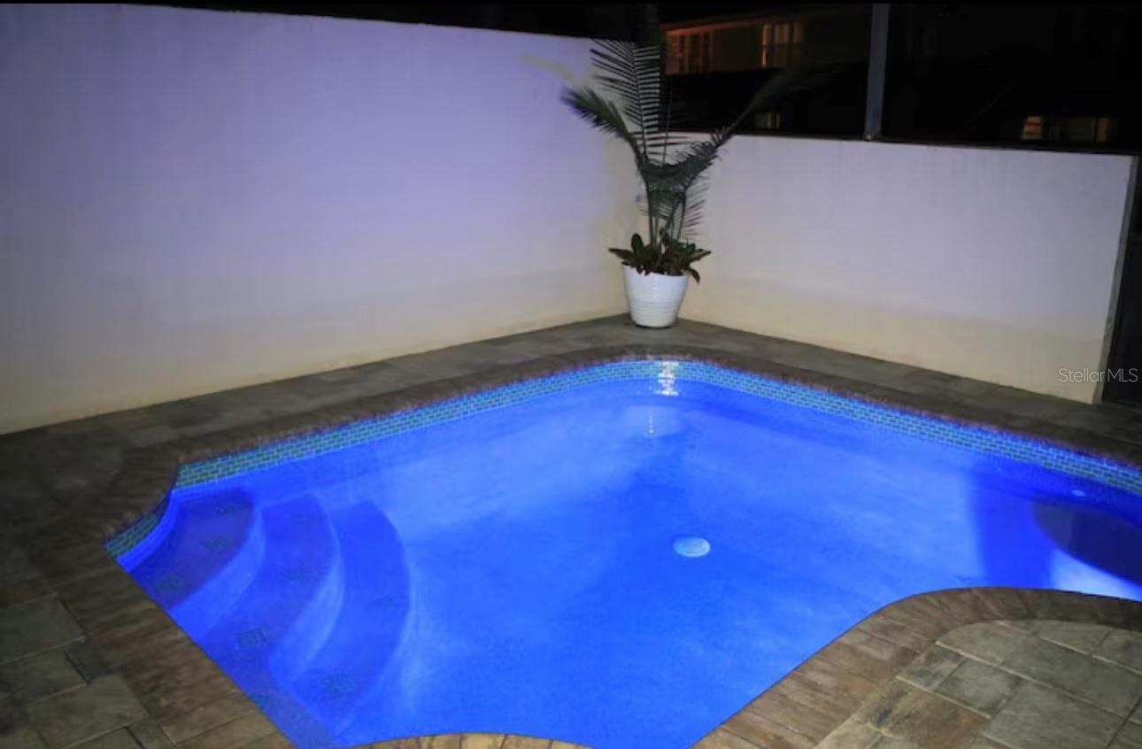 Image 36 of 51 For 8117 Princess Palm