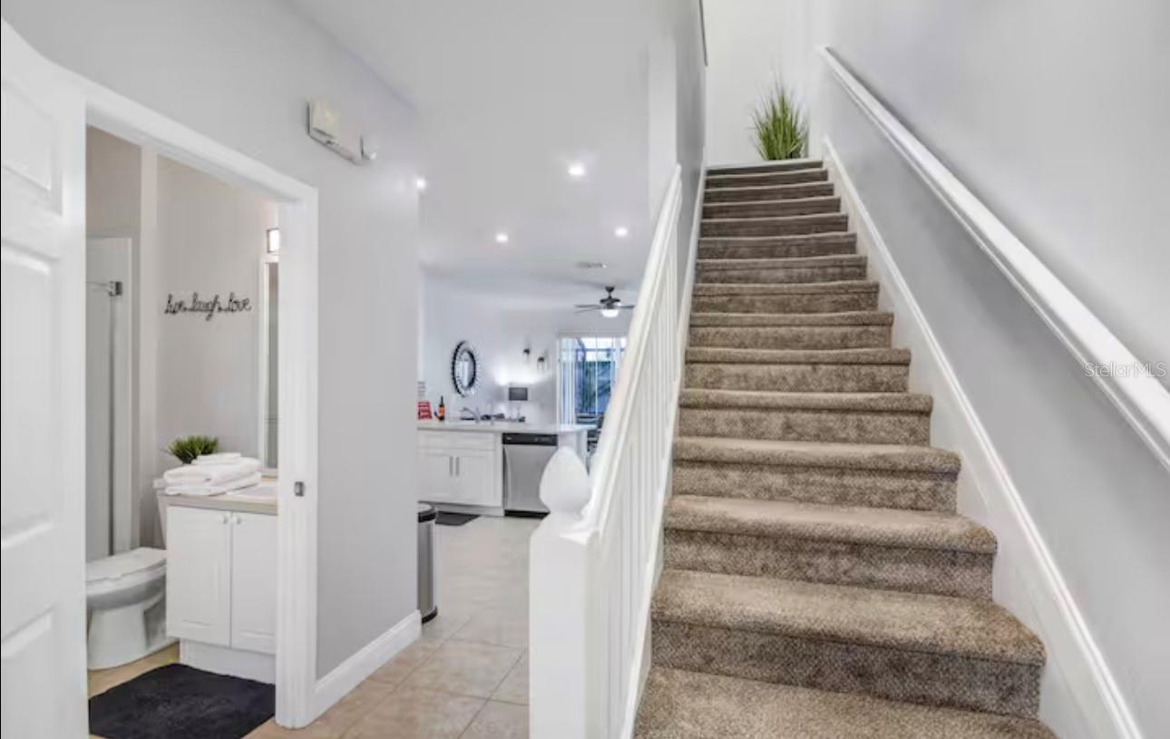 Image 4 of 51 For 8117 Princess Palm