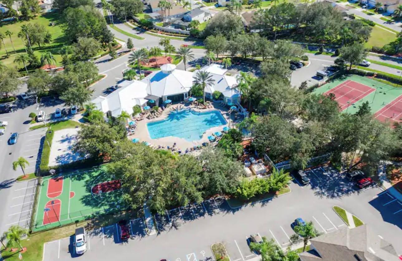 Image 40 of 51 For 8117 Princess Palm