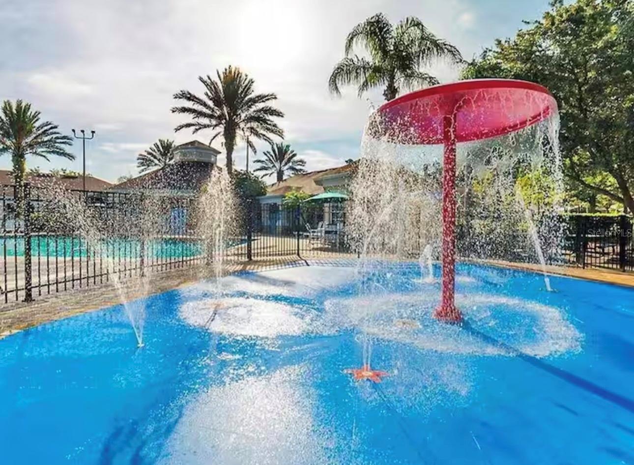 Image 42 of 51 For 8117 Princess Palm