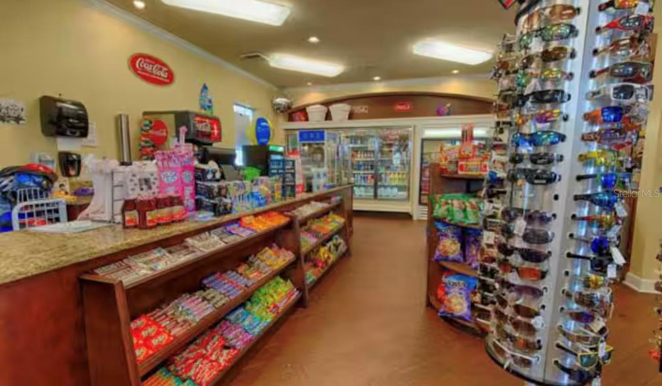 Image 43 of 51 For 8117 Princess Palm