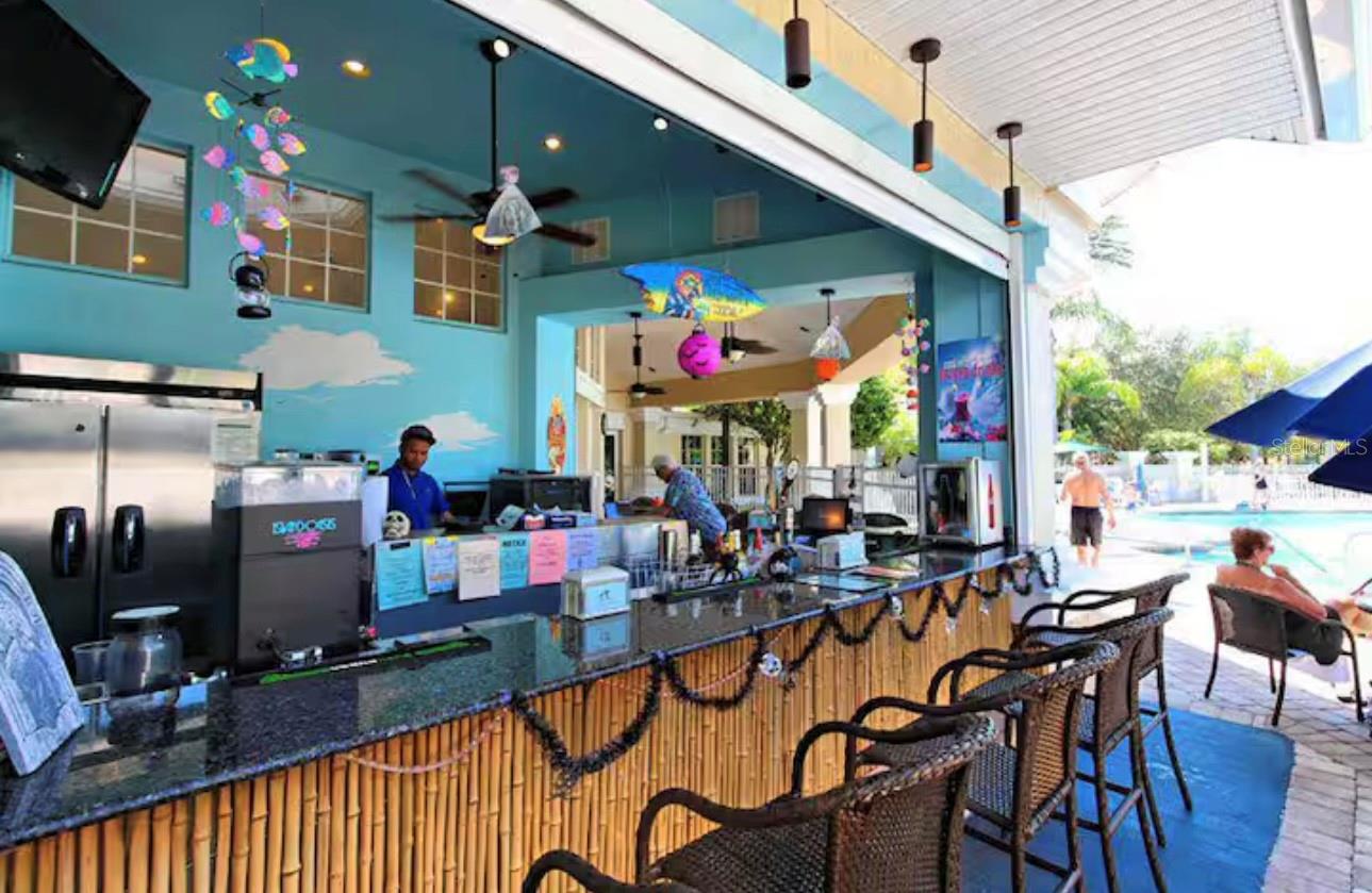 Image 44 of 51 For 8117 Princess Palm