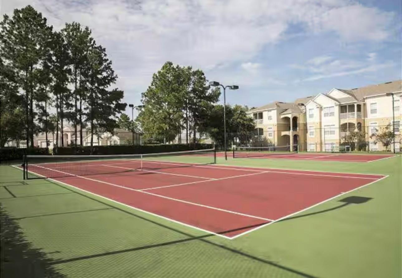 Image 48 of 51 For 8117 Princess Palm