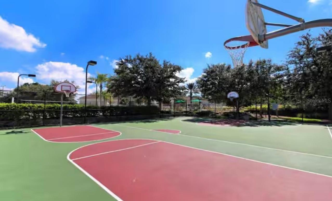 Image 49 of 51 For 8117 Princess Palm