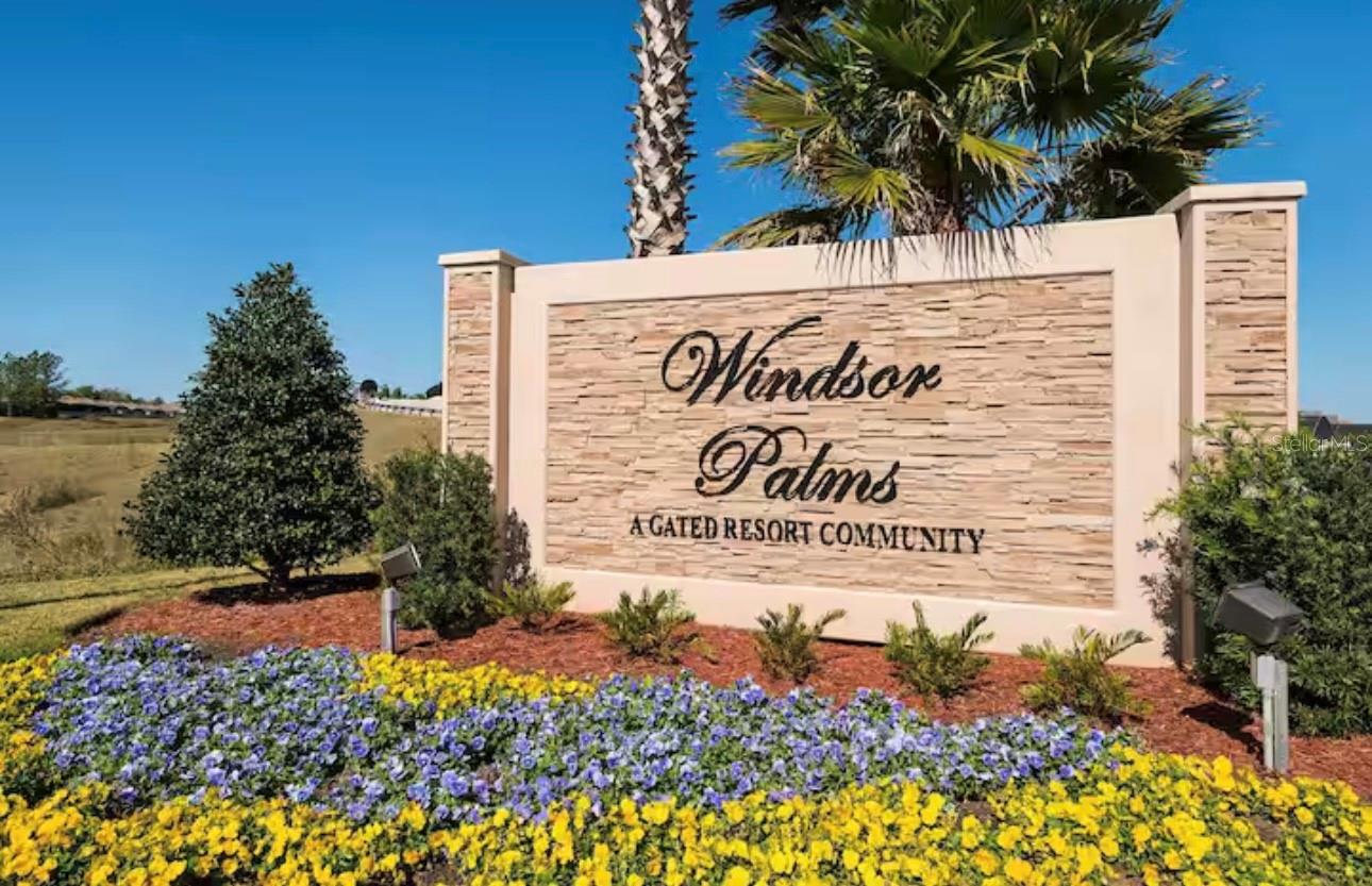 Image 50 of 51 For 8117 Princess Palm