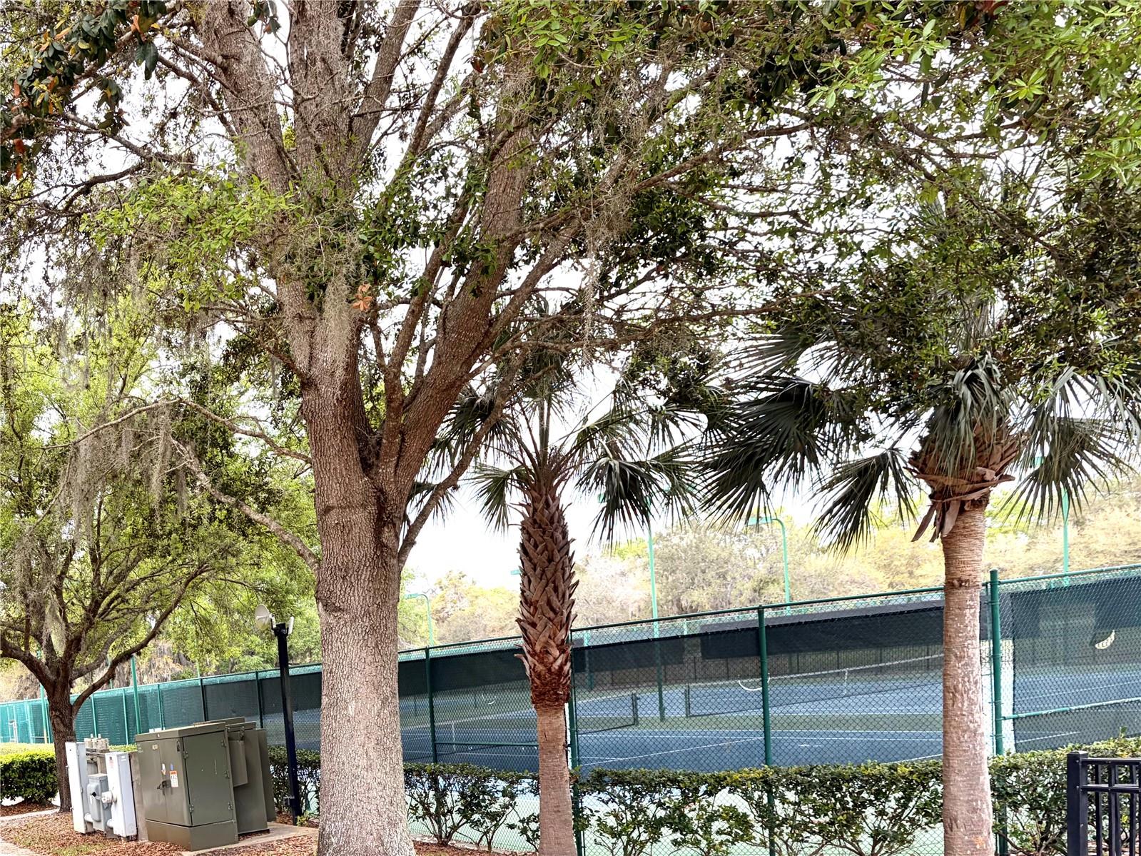 Image 24 of 29 For 5325 Red Coral Circle