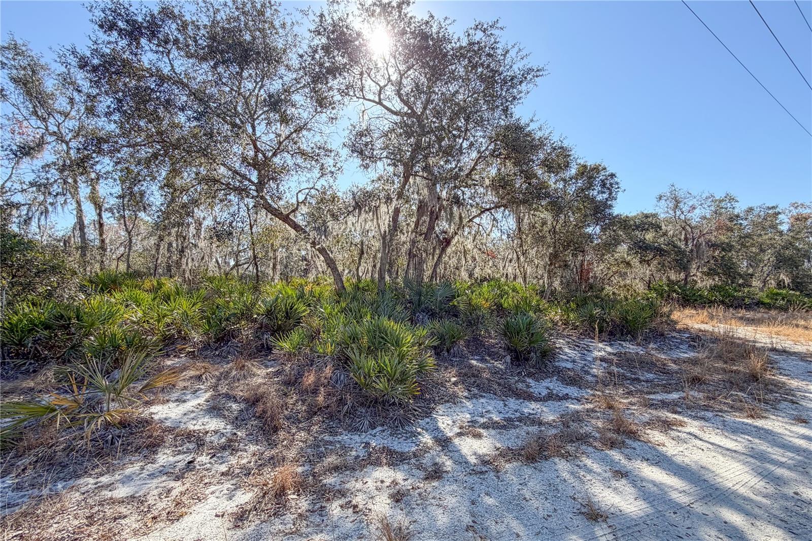 Image 10 of 13 For 3201 Scrub Oak Lane