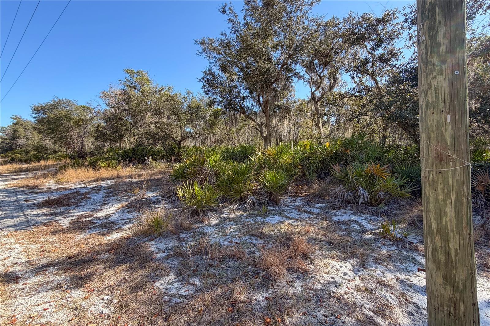 Image 11 of 13 For 3201 Scrub Oak Lane