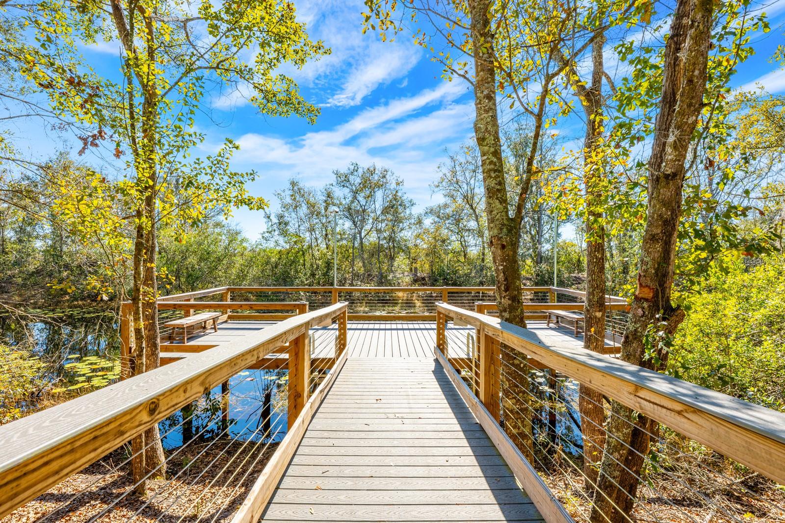 Image 30 of 34 For 16434 Winding Blossom Drive