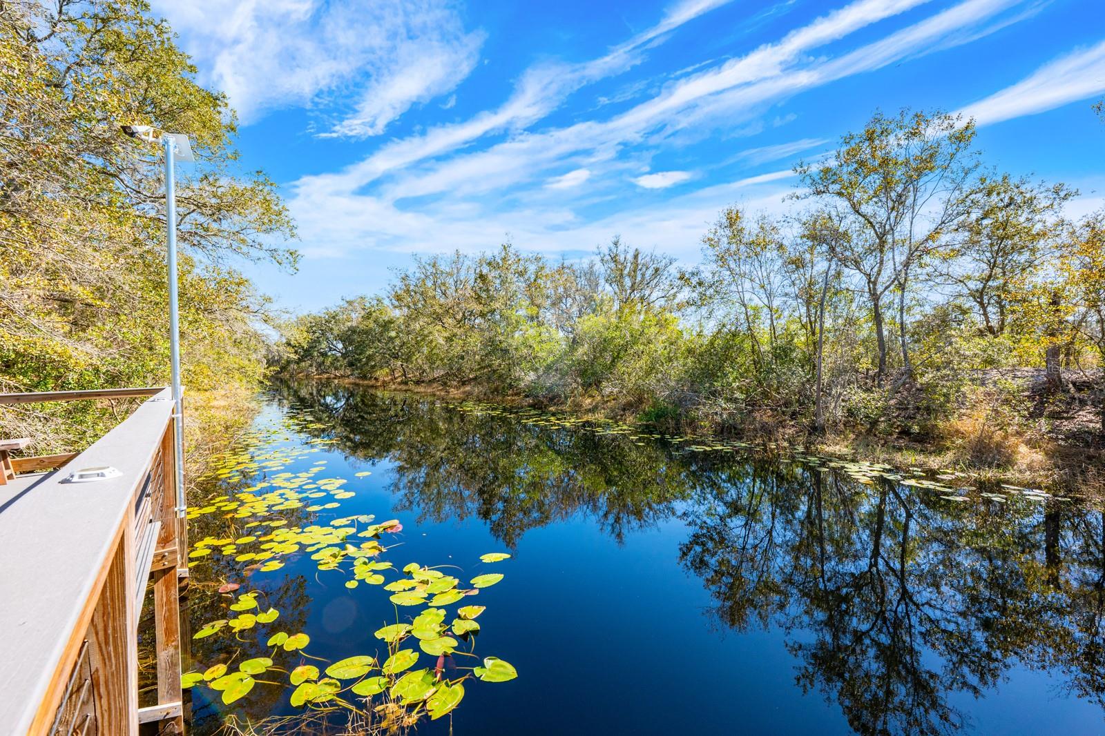 Image 33 of 34 For 16434 Winding Blossom Drive