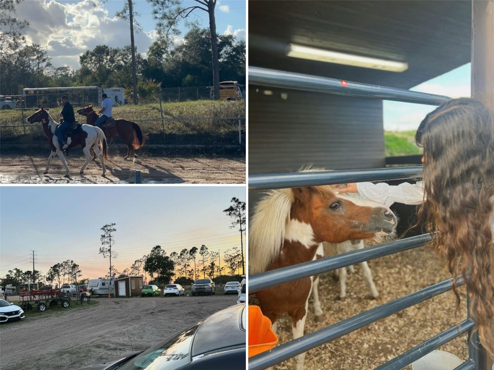 Image 6 of 10 For 5557 E Hinson Avenue