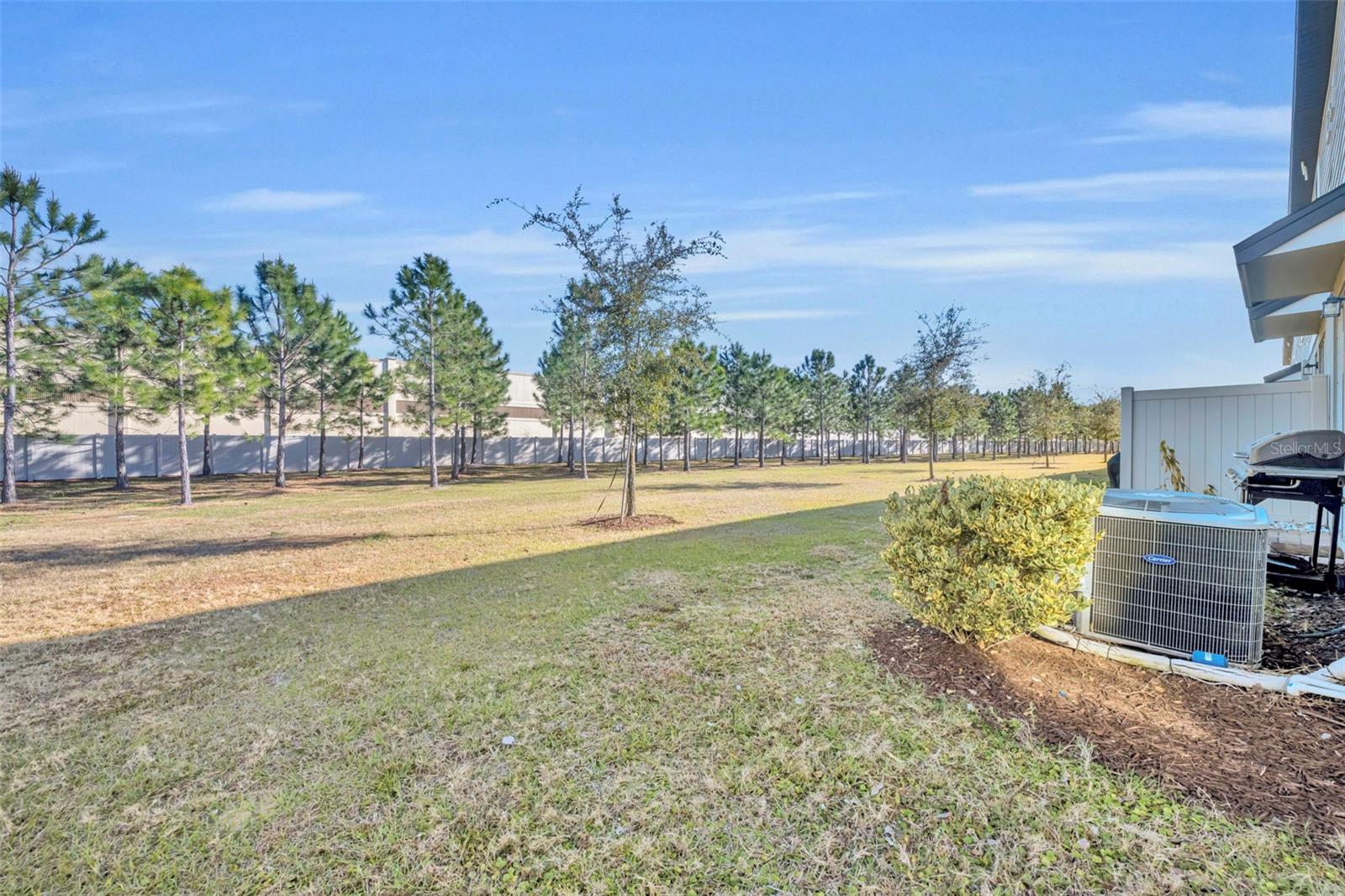 Image 36 of 41 For 2539 Sweet Viburnum Way