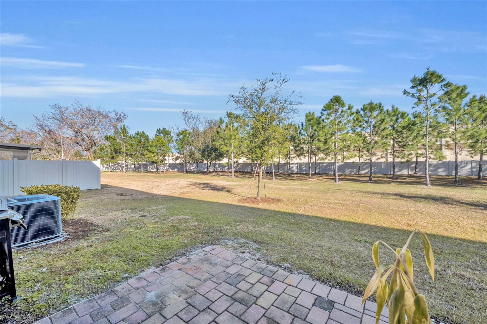 Image 37 of 41 For 2539 Sweet Viburnum Way