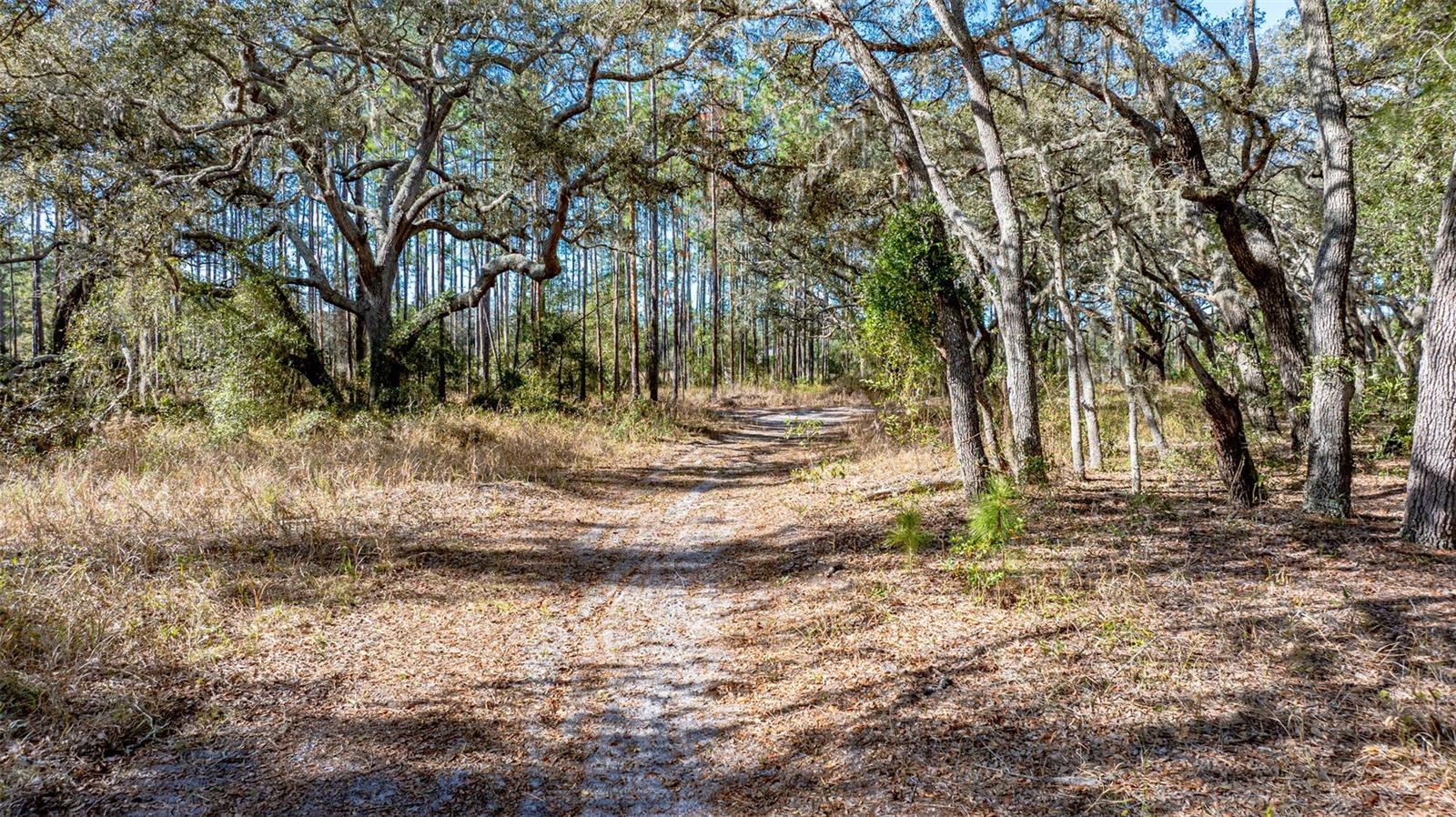 Image 12 of 19 For 13615 Tyrone Street