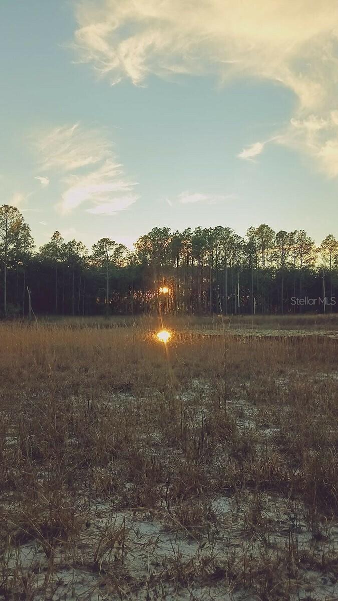 Image 19 of 19 For 13615 Tyrone Street