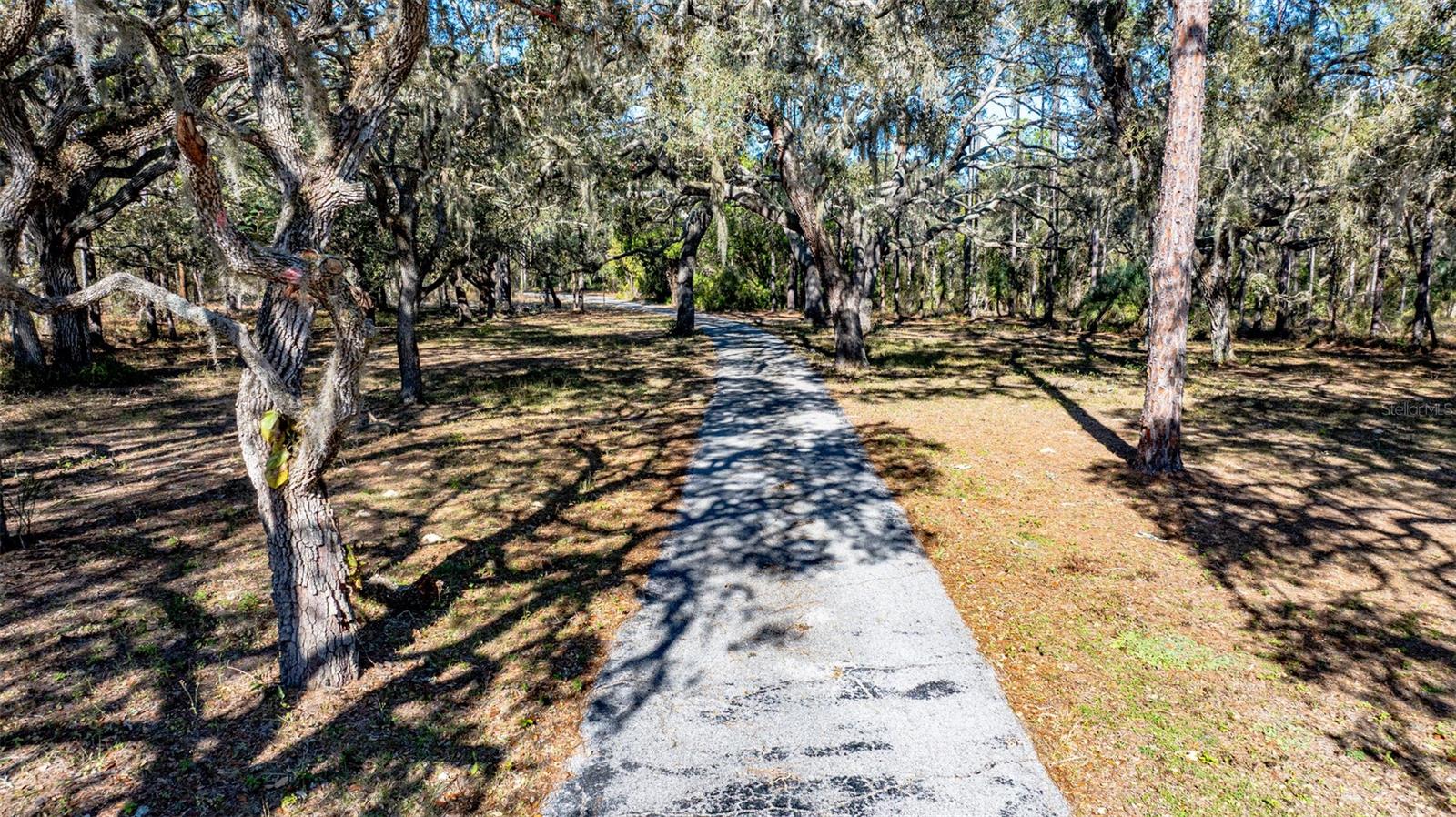 Image 5 of 19 For 13615 Tyrone Street