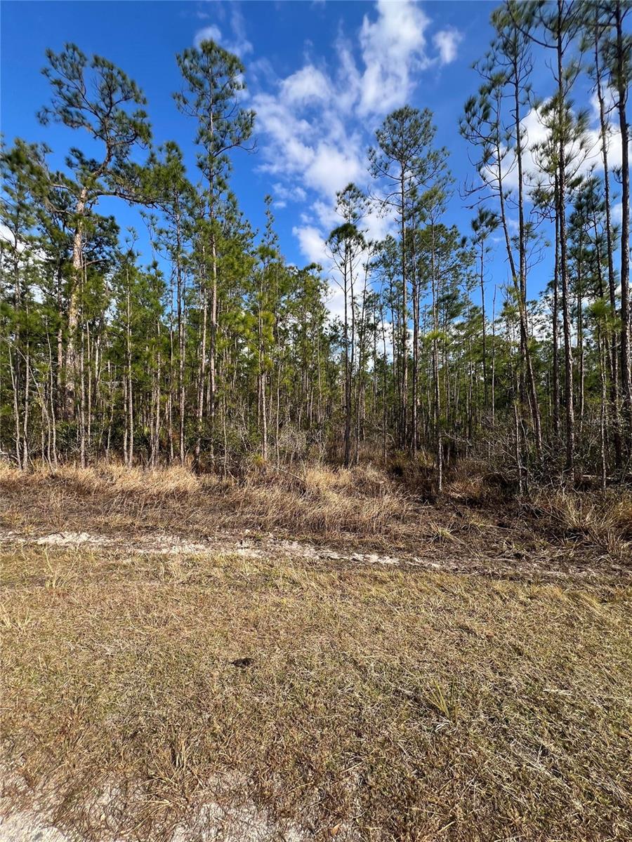 Image 2 of 7 For 6660 Balboa Boulevard