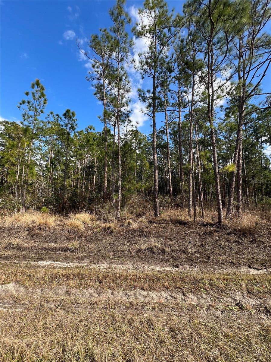 Image 3 of 7 For 6660 Balboa Boulevard