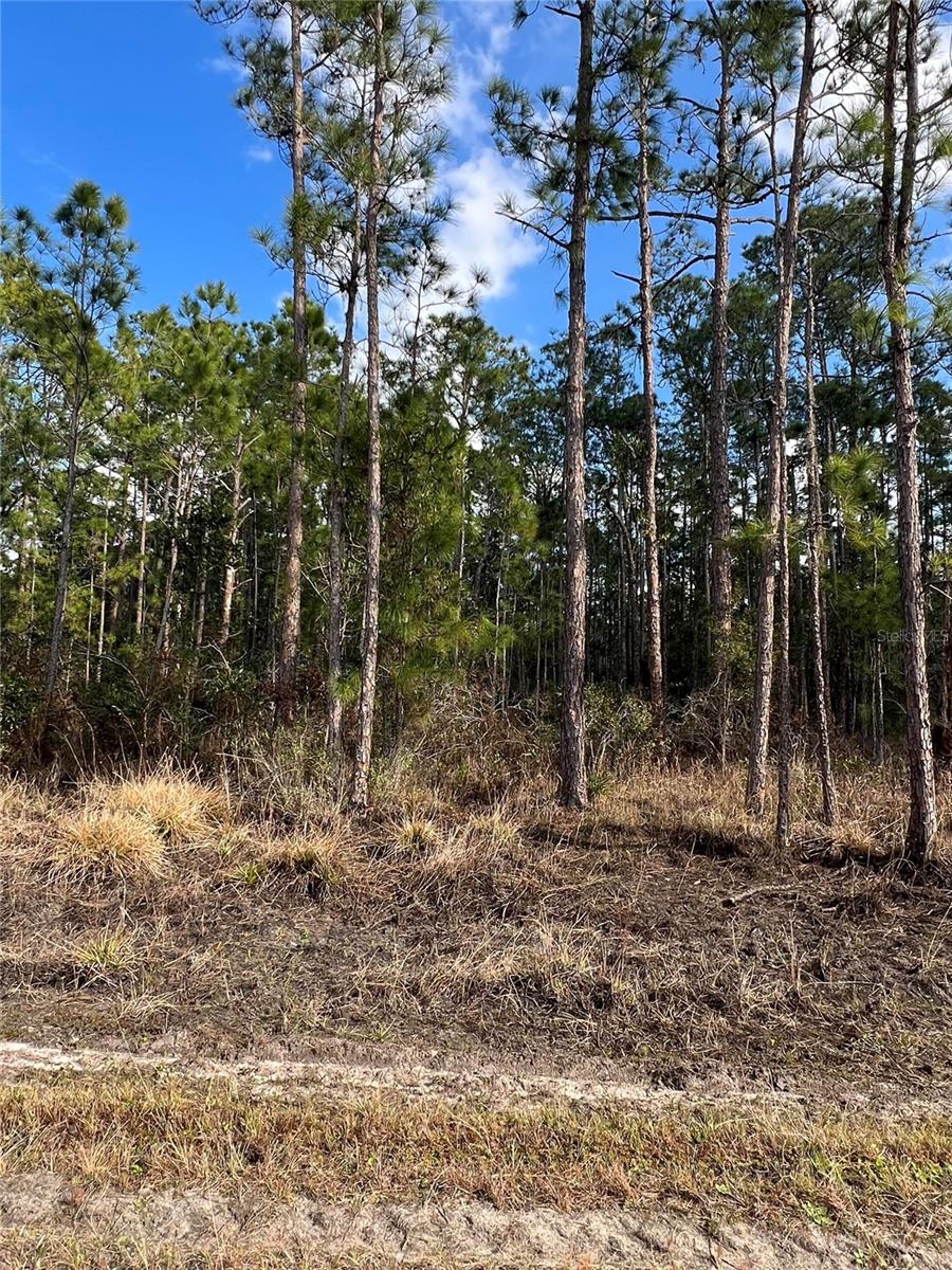 Image 6 of 7 For 6660 Balboa Boulevard