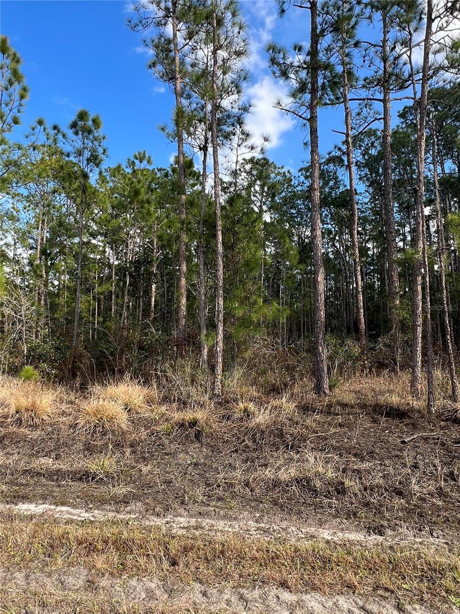 Image 7 of 7 For 6660 Balboa Boulevard