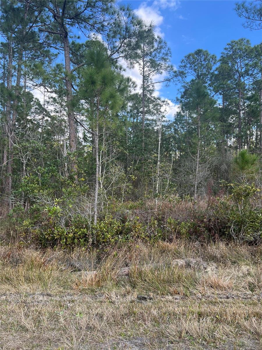 Image 2 of 6 For 6727 Balboa Boulevard