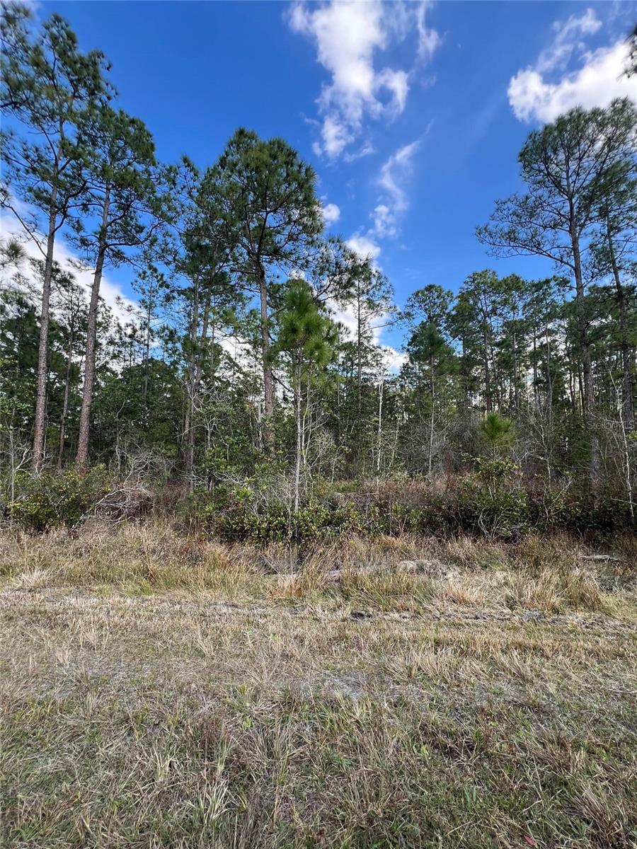 Image 3 of 6 For 6727 Balboa Boulevard