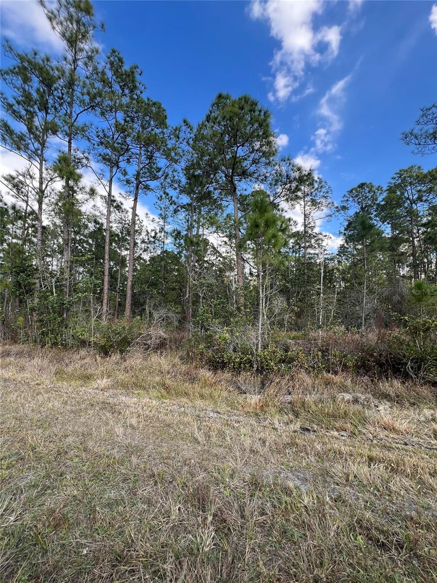 Image 4 of 6 For 6727 Balboa Boulevard