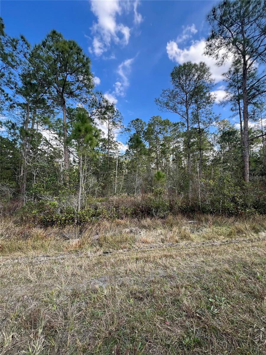 Image 5 of 6 For 6727 Balboa Boulevard