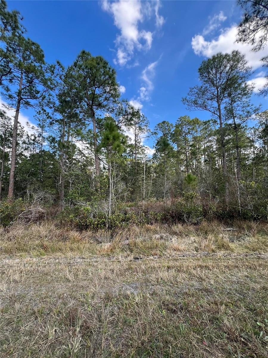 Image 6 of 6 For 6727 Balboa Boulevard