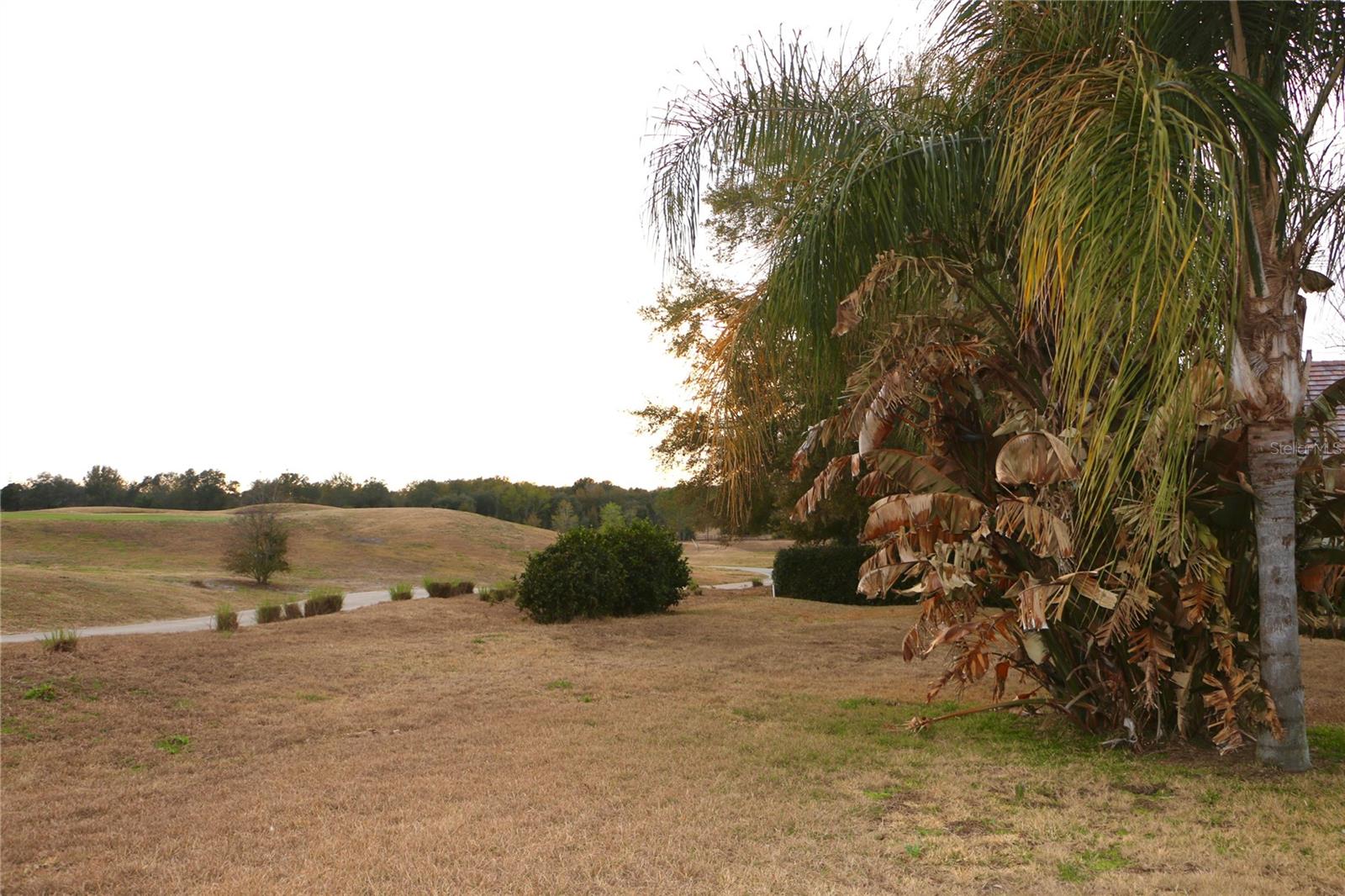 Image 52 of 53 For 25447 High Hampton Circle