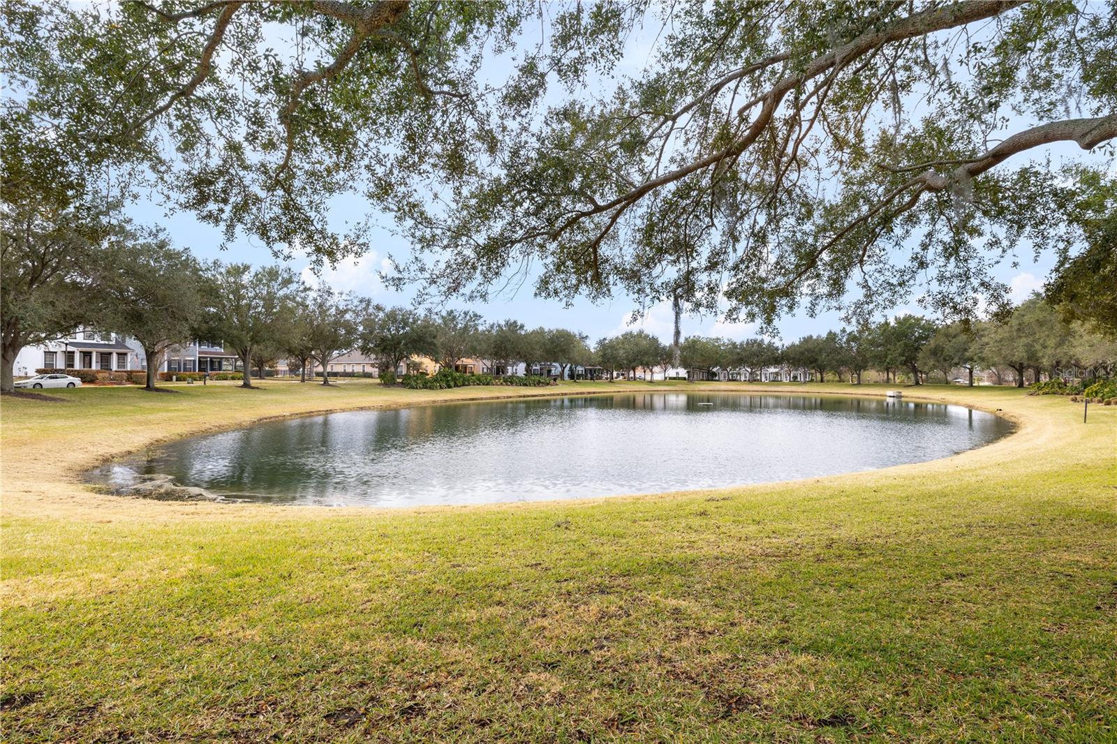 Image 46 of 55 For 13609 Ancilla Boulevard