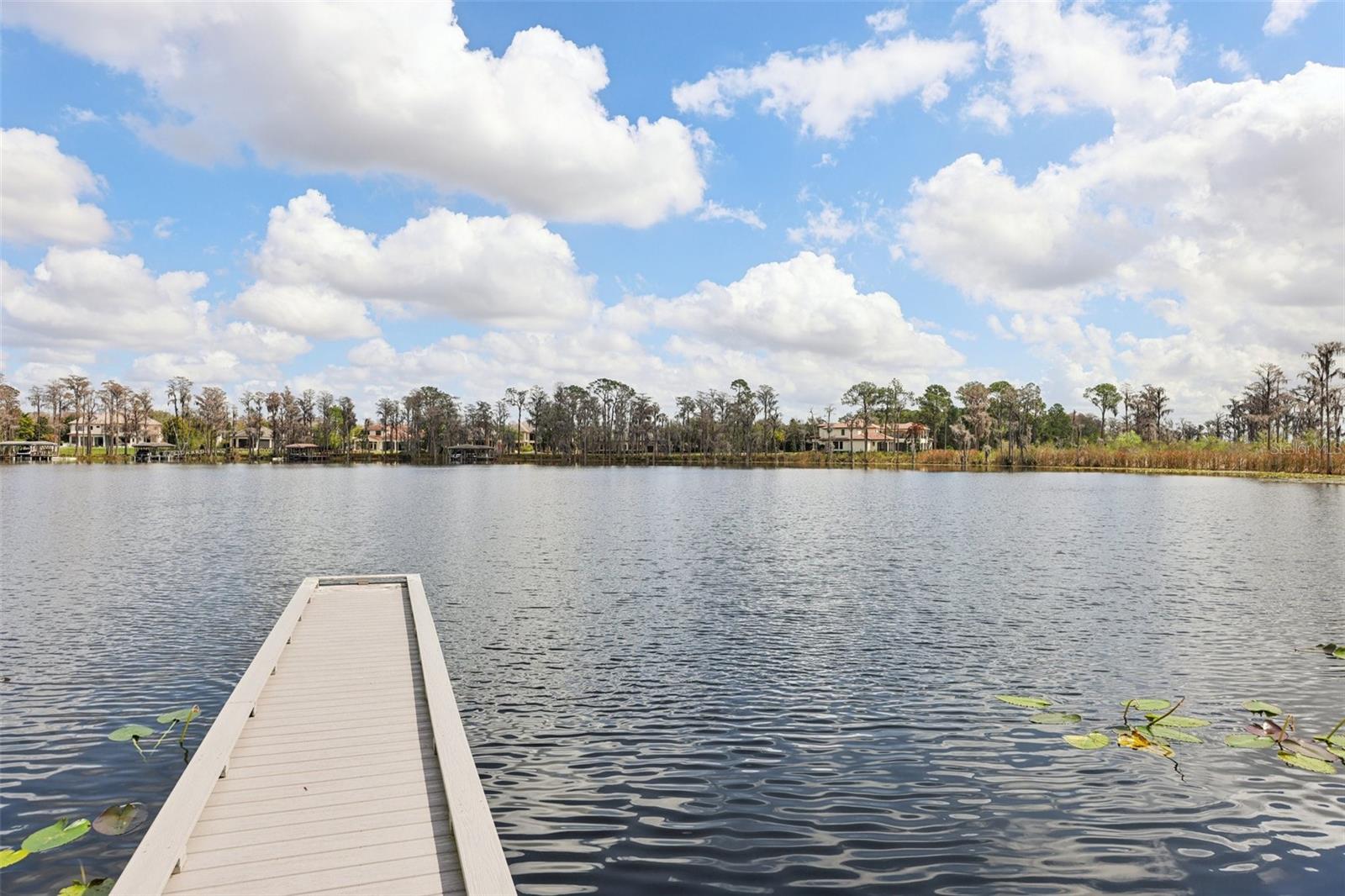 Image 47 of 54 For 11866 Camden Park Drive