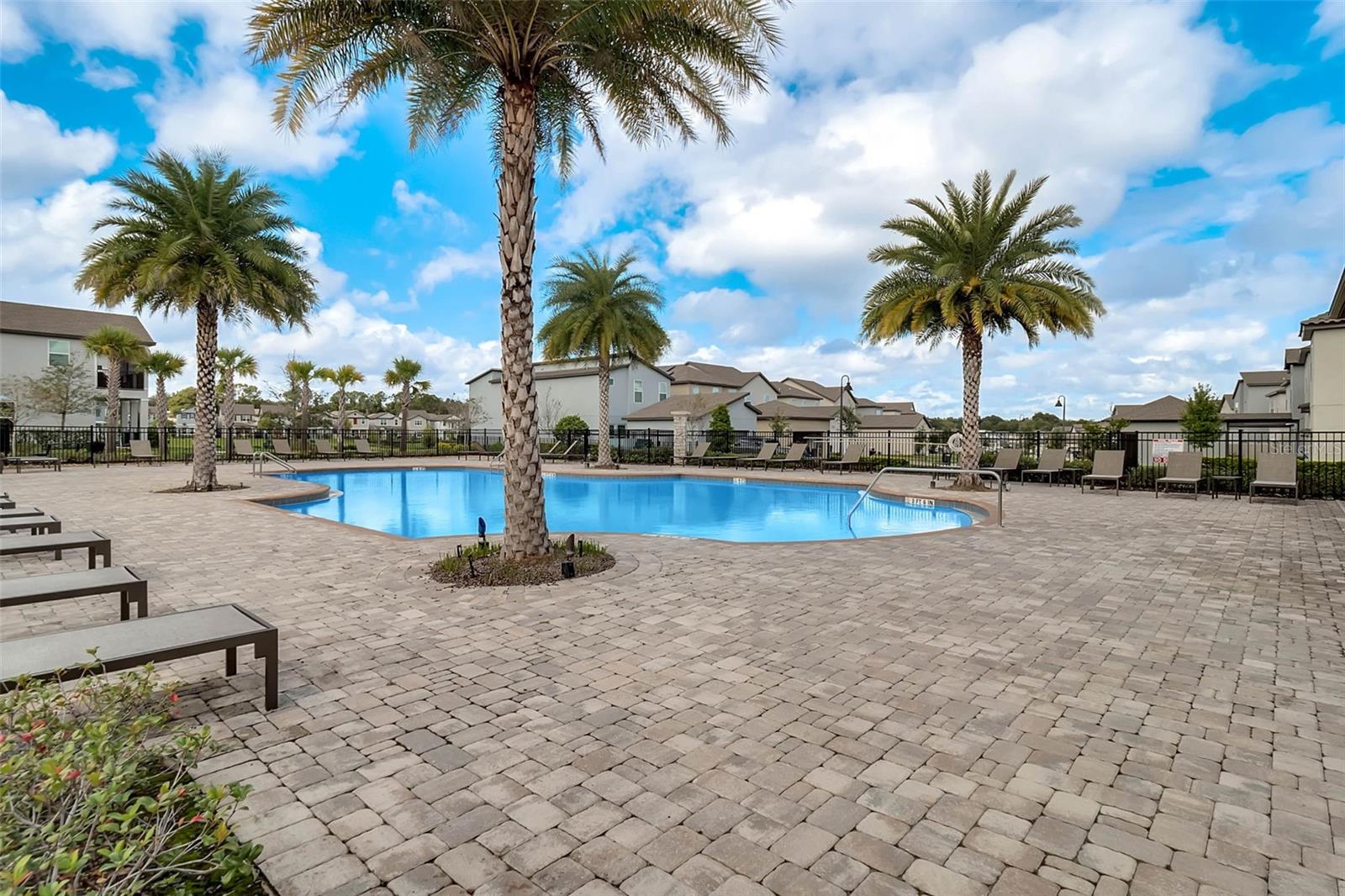 Image 43 of 59 For 2259 White Feather Loop