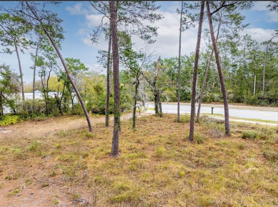 Image 11 of 15 For 1370 Courtland Blvd