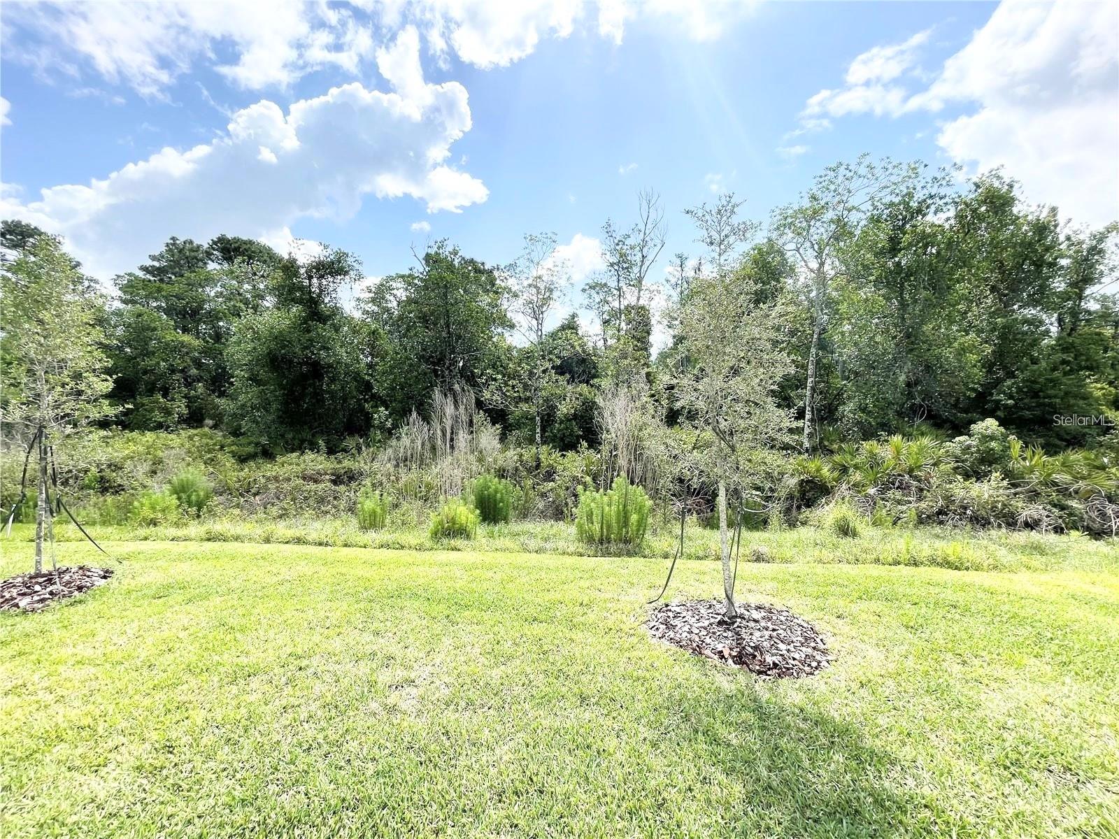 Image 20 of 20 For 5837 Wooden Pine Drive