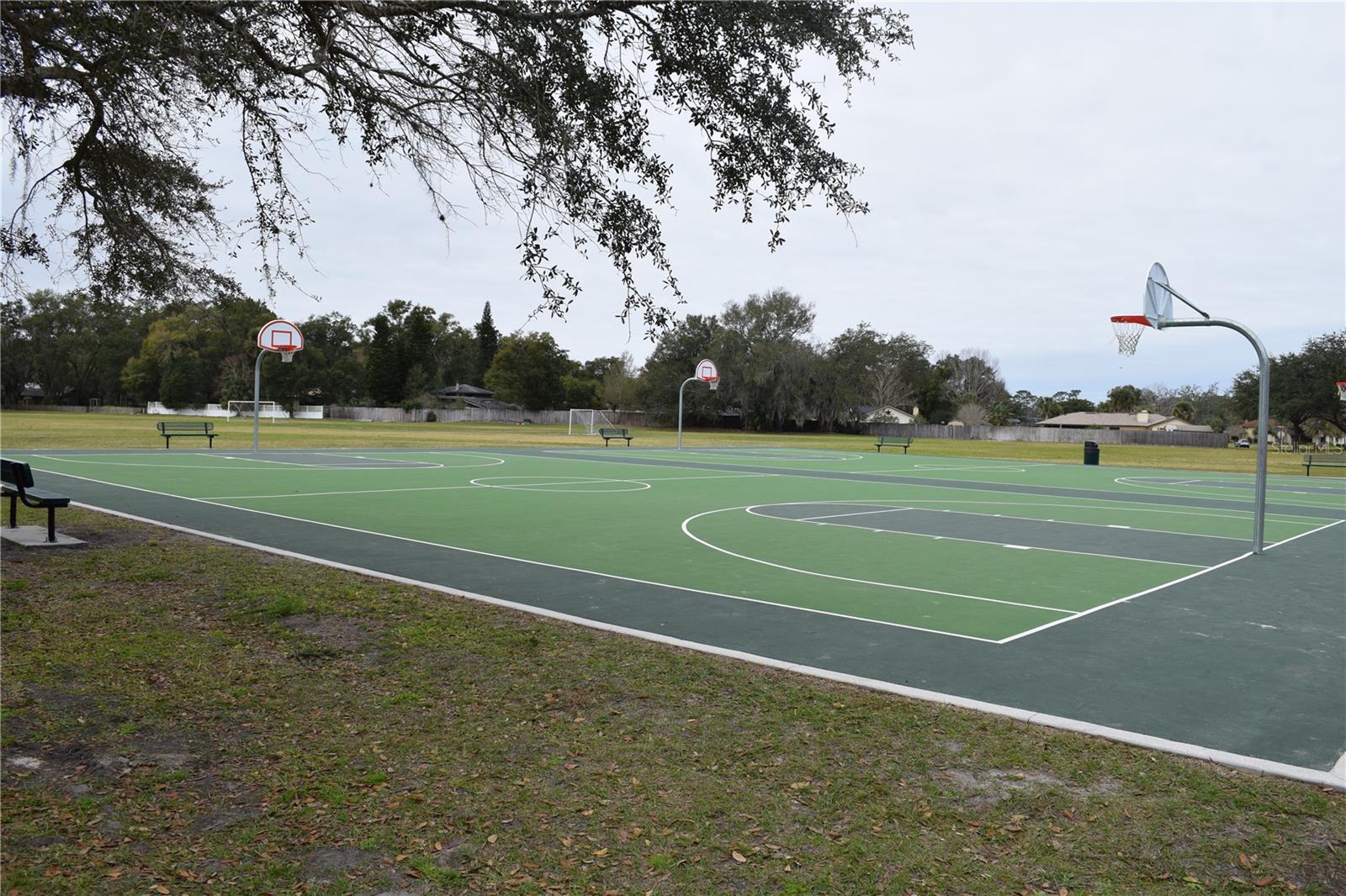 Image 35 of 42 For 600 Northern Way 201